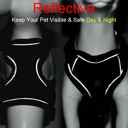 Adjustable Dog Harness Leash Set for Small Medium Dogs Cats Reflective Chest Strap Pets Harnesses Vest Outdoor Puppy Supplies