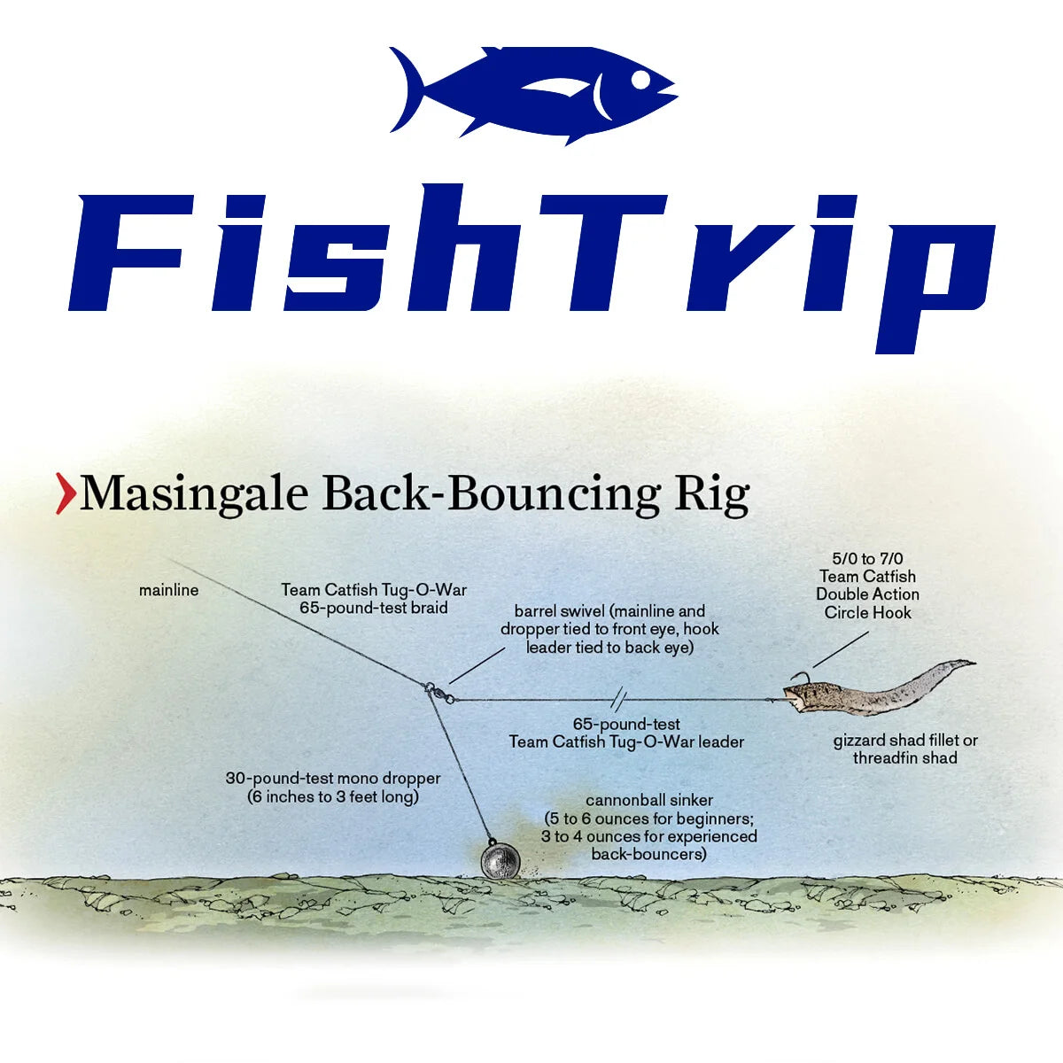 FishTrip Ball Bearing Swivels 10-100pcs Fishing Swivel Solid Welding Ring Stainless Steel Heavy Duty Saltwater Swivel Catfish