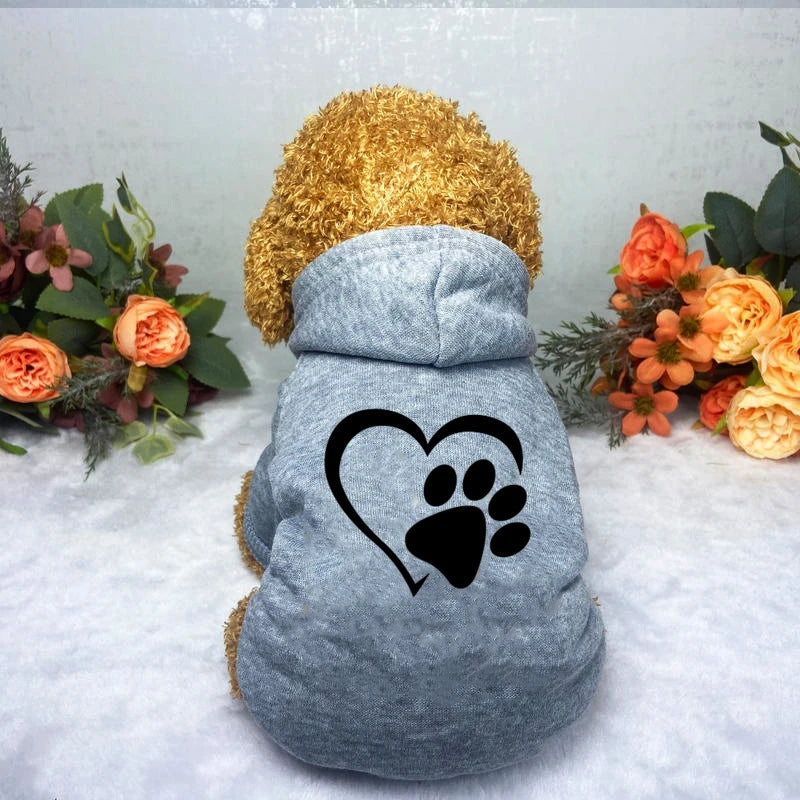 Puppy Pet Hooded Sweatshirt Autumn Winter Two-legged Pocket Cat Dog Clothes