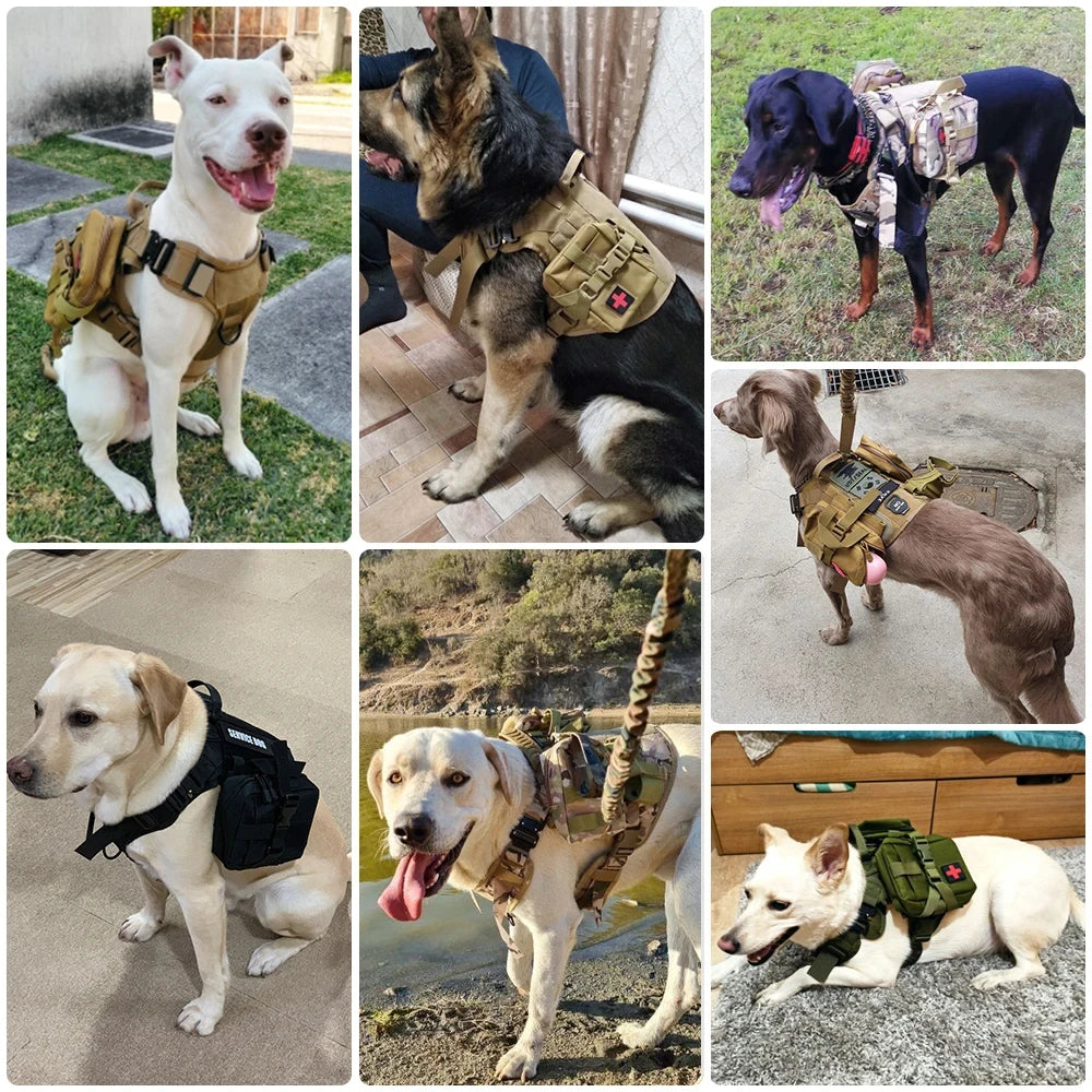Military Large Dog Harness Collar Leash Bags Patches Set Pet Malinois Training Vests Tactical Dogs Harnesses Accessories
