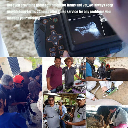 DAWEI Portable Veterinary Ultrasound Scanner Handheld Vet Pregnancy Machine for Horse Cattle Camel, 3.5MHz Rectal Probe
