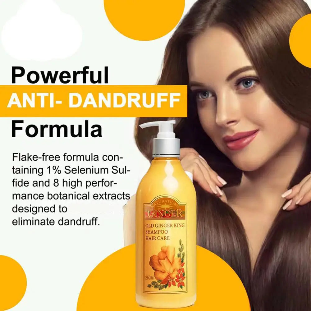 250ml Old Ginger Juice Hair Shampoo Professional Hair Scalp Treatment Oil Control Dense Anti Hair Loss