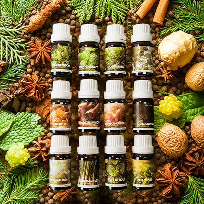 12 Types Natural Plant Essential Oils Premium Grade Essential Oils for Haircare, Nail Care, Moisturizing