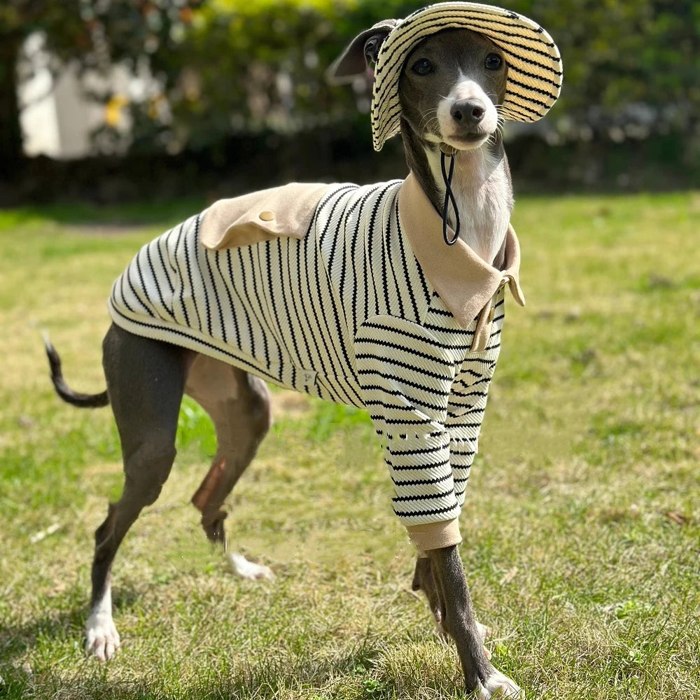 Dog Clothes in Spring Khaki Strips Polo Shirt with Pocket for Italy Greyhound Soft Long Sleeves Cotton Coat Hat Suit for Whippet