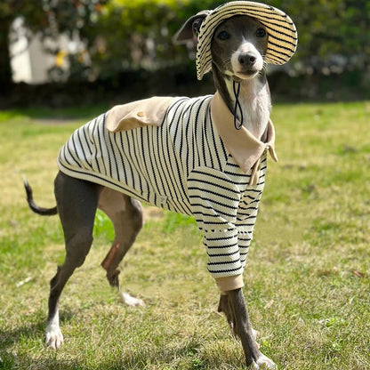 Dog Clothes in Spring Khaki Strips Polo Shirt with Pocket for Italy Greyhound Soft Long Sleeves Cotton Coat Hat Suit for Whippet