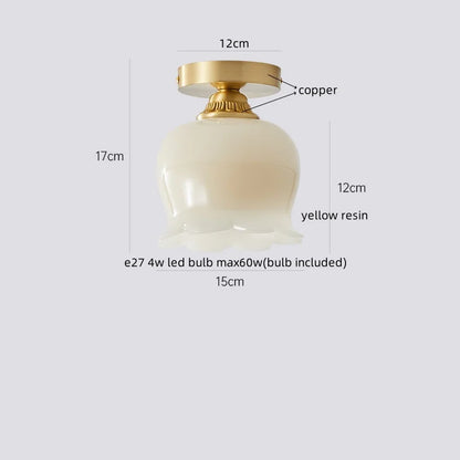 IWHD Home Lighting LED Ceiling Lights Decoration Aisle Porch Living Room Light Fixtures Nordic Ceiling Lamp Resin Copper Lustres