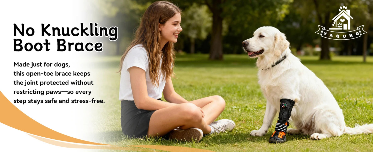 No KnucklingCorrective Dog Shoe,Drop Foot Support with Adjustable Reel, Paw Leg Brace Support - Lift Toes for Arthritis,Mobility