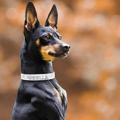 Personalized Small Dogs Chihuahua Collar Bling Rhinestone Dog Collars Free Custom Pet Dogs Cats Name Charms Pet Accessories