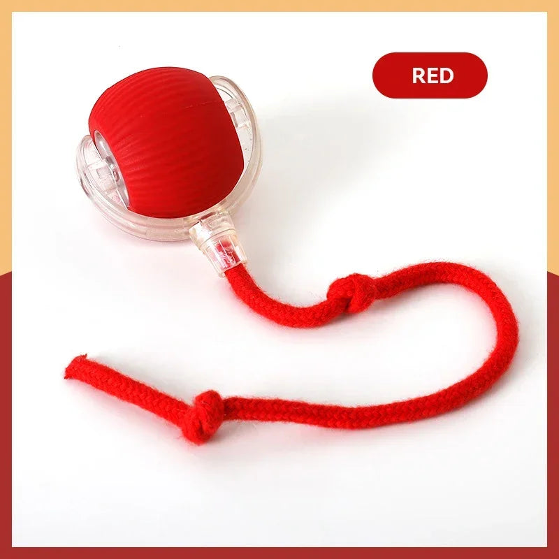 Rechargeable Automatic Rolling Ball Cat Toy – Fake Tail, Imitate Mouse, Electric Interactive for Cats & Dogs