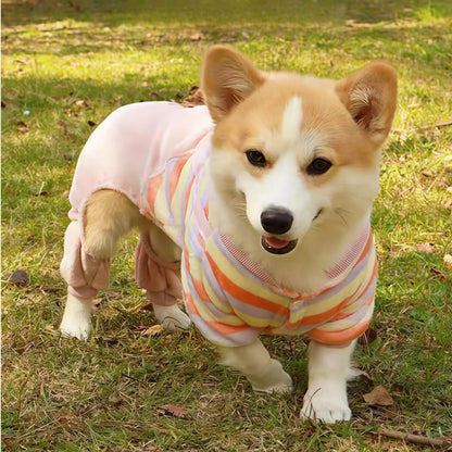Autumn Winter Pet Dog Soft Fleece Clothes Warm Jumpsuit Coat for Small Medium Large Dog Cat Puppy Jacket Sweater with Leash Ring