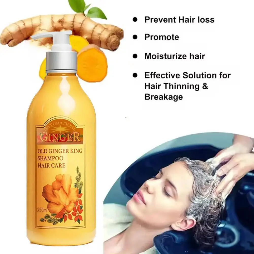 250ml Old Ginger Juice Hair Shampoo Professional Hair Scalp Treatment Oil Control Dense Anti Hair Loss