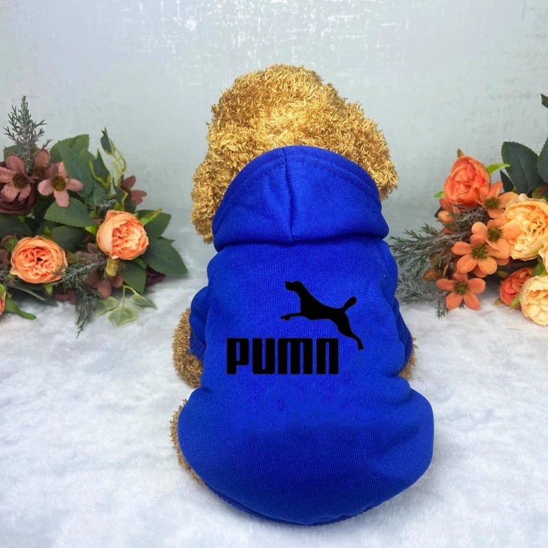 Dog clothes Pet clothes Popular fashion Hoodie Large, medium and small pet clothes Casual warm dog clothes