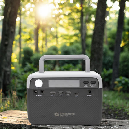 Wholesale 300W Pure Sine Wave Small Solar Generator Power Station Lifepo4 Emergency Portable Electric Power Station for Camping