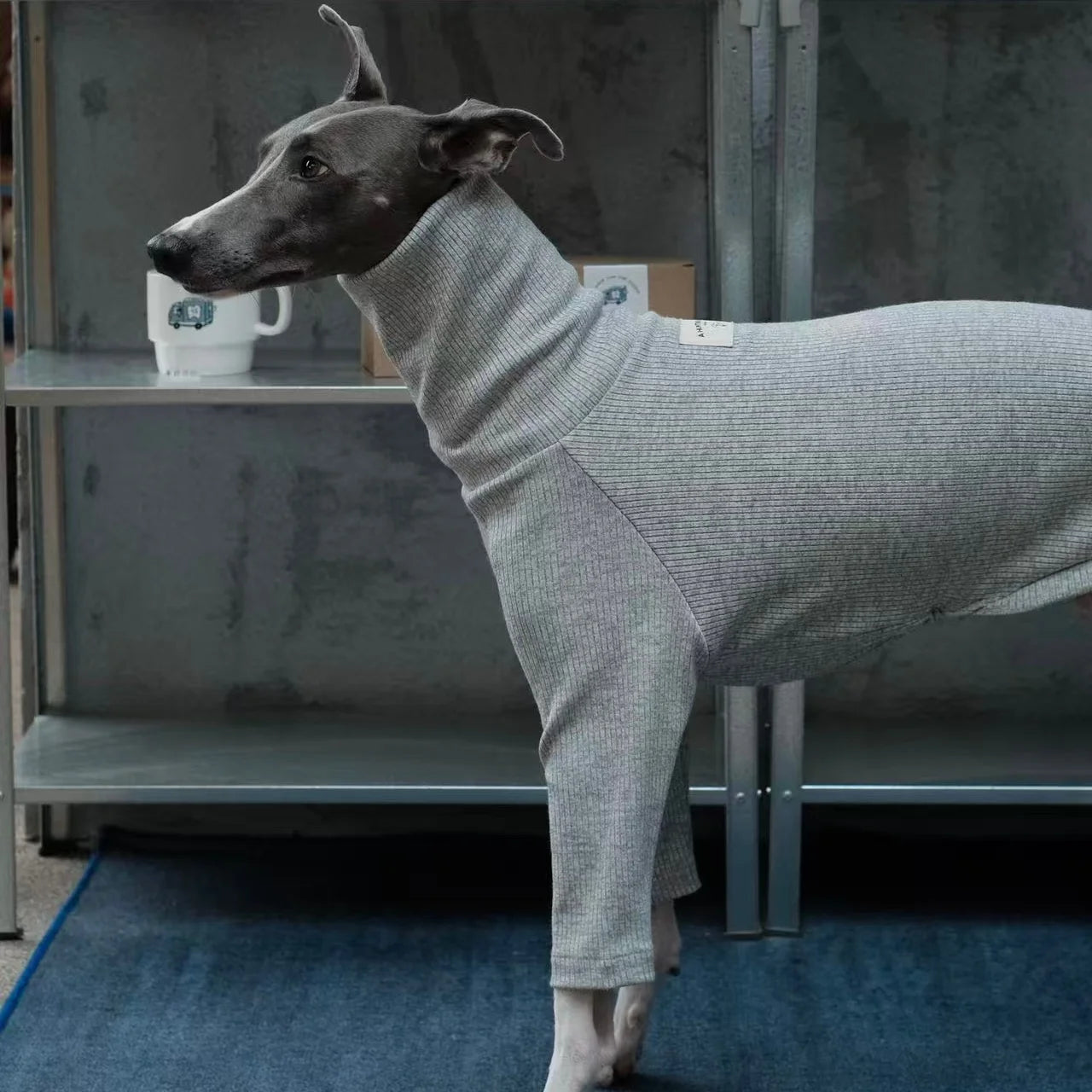 Spring Clothing for Italy Greyhound  Autumn Soft High-Neck Cotton Grey T-shirt for Whippet Winter Long Sleeved Pajamas for Dogs
