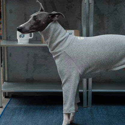 Spring Clothing for Italy Greyhound  Autumn Soft High-Neck Cotton Grey T-shirt for Whippet Winter Long Sleeved Pajamas for Dogs