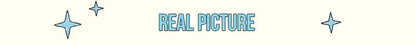 Women Chic Solid Shorts Suit Stand Collar Waist Cinching Slim Fit 2 Piece Suits 2026 Spring Autumn Lady  Elegant Outfits New