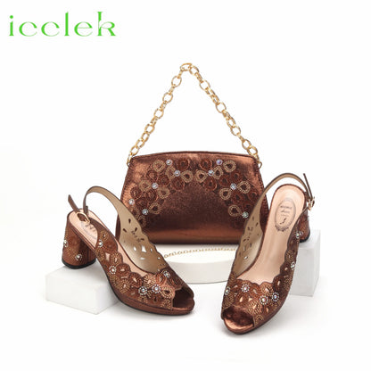 New Fashionable Coffee Color Peep Toe Ladies Shoes Matching Bag Set For Nigerian Women Wedding Party Pump
