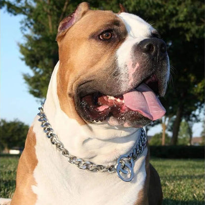 Heavy Duty 19mm Stainless Steel Dog Choke Chain Collar Pet Necklace Sliver 18K Gold Dog Cuban Link for Pit Bull Mastiff Bulldog