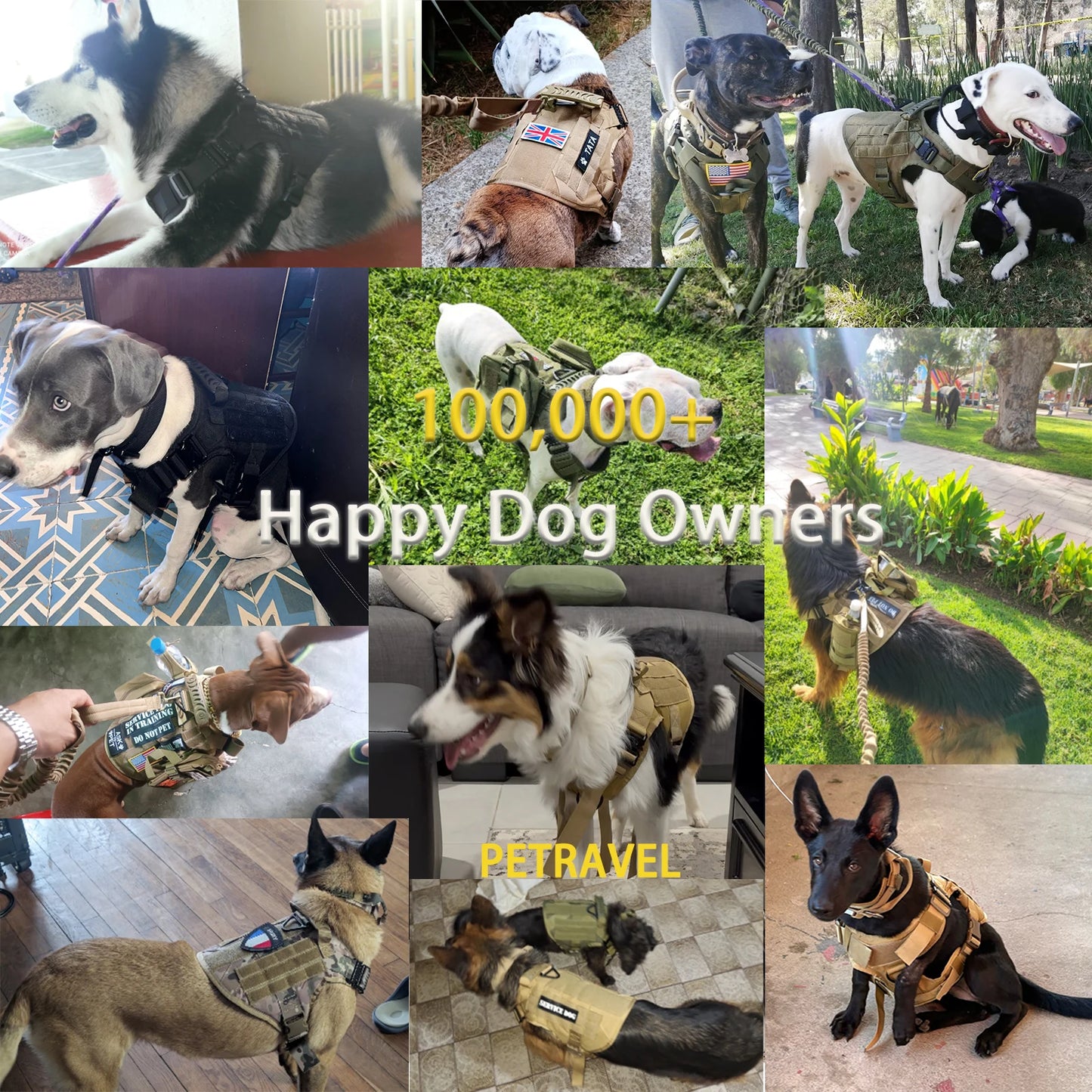 Dog Harness Collar Leash Molle Pouches For Medium Large Dogs Pet German Shepherd Training Walking Vest Tactical Dog Harnesses