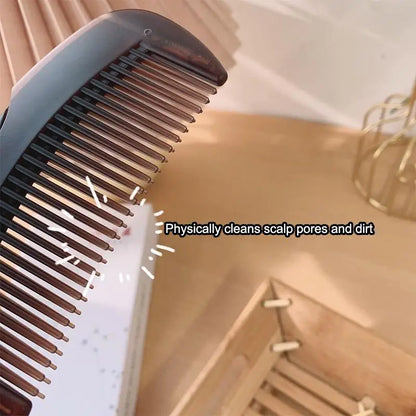Oil-Control Energy Comb, Hollow Scalp Brush, No Shampoo Needed, Removes Grease & Dandruff, Hair Cleansing Massage Comb for Oily