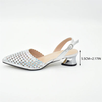 Nigeria Shoe and Bag Wedding Shoes Bride Nigerian Ladies Wedding Shoes Luxury Italian Style Heels African Women Party Pumps