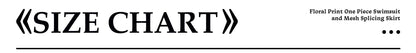 Two Piece Bikini Sexy Women Bandeau Biquini Female Swimsuit 2026 Print Push Up Swimwear Skirt Bathing Suits Cover Up Beachwear