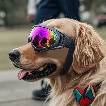 Pet Goggles Adjustable Anti UV Glare Windproof Sunglasses for Dogs Outdoor Hiking Running Beach All Breeds Eye Protection Black
