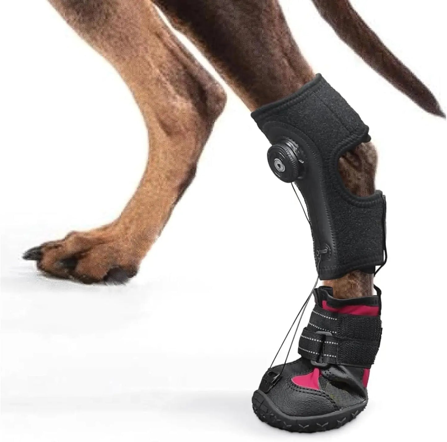 No KnucklingCorrective Dog Shoe,Drop Foot Support with Adjustable Reel, Paw Leg Brace Support - Lift Toes for Arthritis,Mobility
