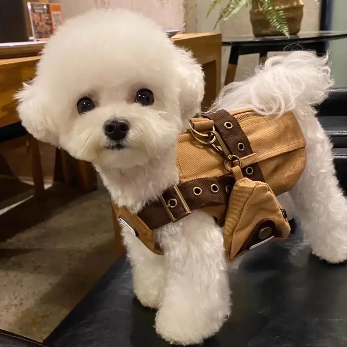 British Gentleman-Style Pet Harness Pants And Hoodie Set - High-Quality Clothing For Fat Dogs Pants With Bag Suit