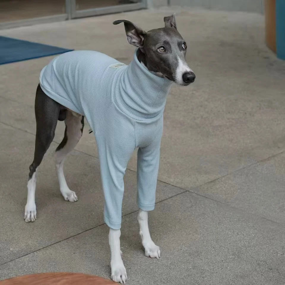 Spring Clothing for Italy Greyhound  Autumn Soft High-Neck Cotton Grey T-shirt for Whippet Winter Long Sleeved Pajamas for Dogs