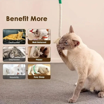 Cotton Cat Chew Toy for Teeth Cleaning Catnip Rope Toys for Indoor Cats Nibbling Exercise Interactive Cat Nip Teething Toys