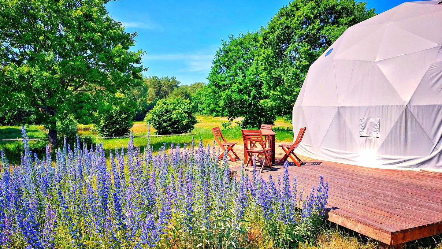 Custom Luxury Geodesic Dome Tent For Airbnb Outdoor Stay Farm Resort And Scenic Area Accommodation Custom Interior Solution
