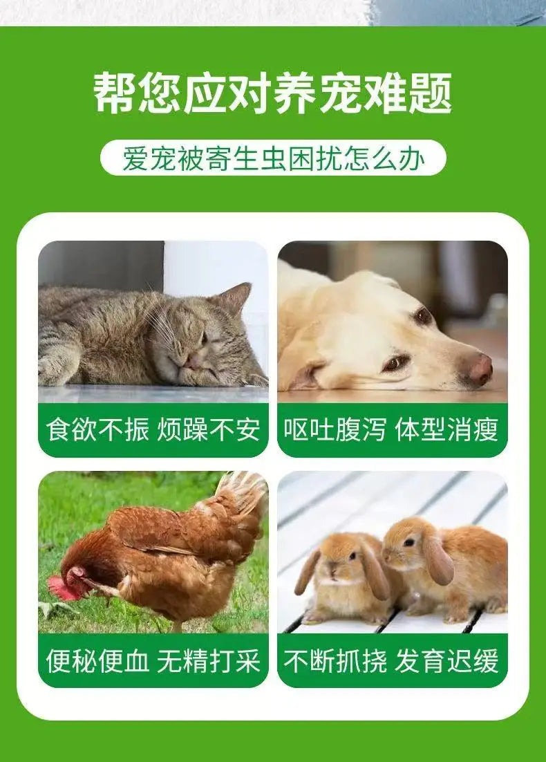 Deworming for pet cats and dogs can eliminate Torreya caris roundworms, nematodes, fleas and lice both inside and out