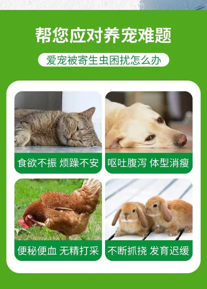 Deworming for pet cats and dogs can eliminate Torreya caris roundworms, nematodes, fleas and lice both inside and out