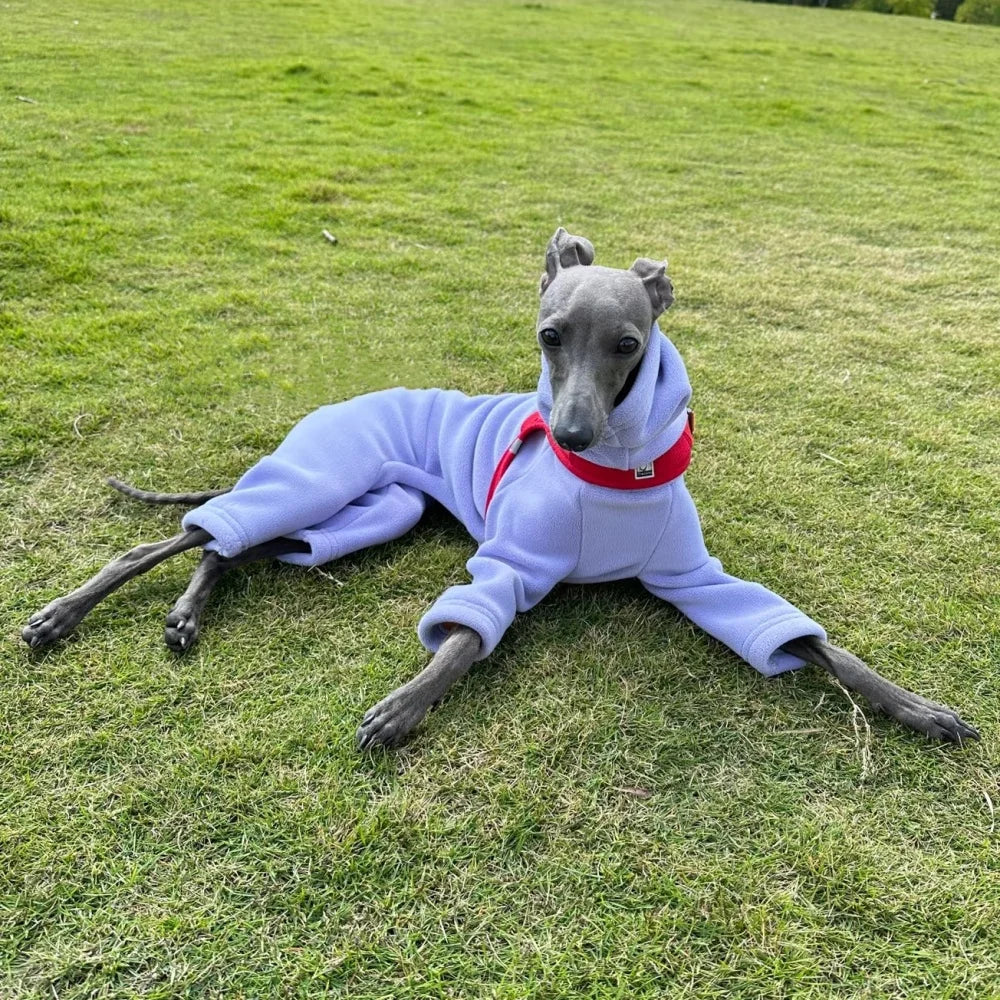 Winter Clothes for Dogs Warm 4-legged Purple Fleece Sweatshirt for Italian Greyhound Whippet Thick Solid Color Coat in Spring