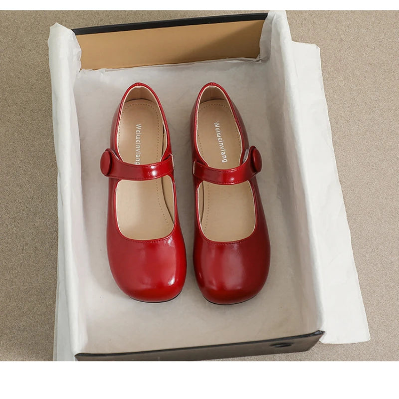 Women French Pointed Toe Flat Shoes Summer Fairy Style Patchwork Casual Shoes Elegant Shallow Footwear Matching Dresses Daily