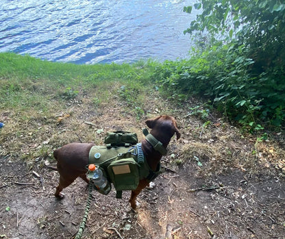 Military Large Dog Harness Collar Leash Bags Patches Set Pet Malinois Training Vests Tactical Dogs Harnesses Accessories