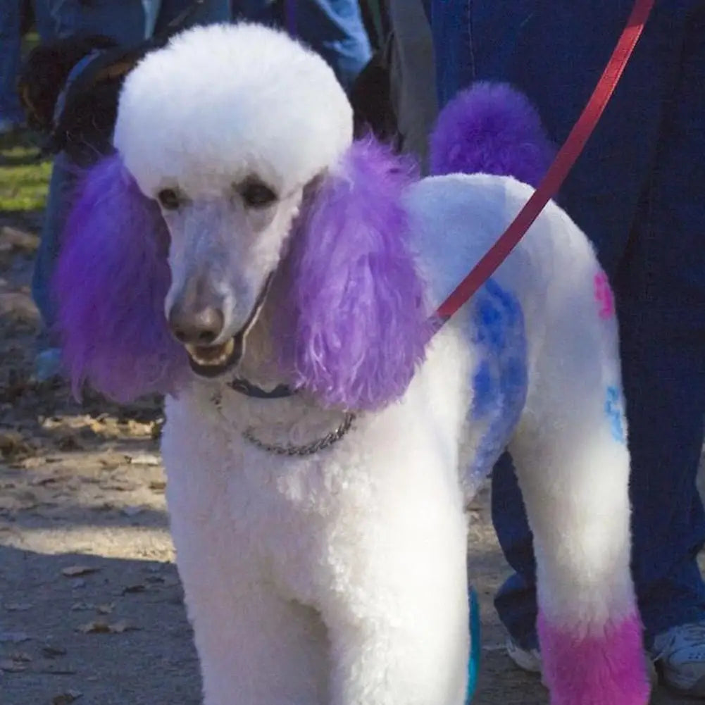 80g Pet Dog Animals Hair Bright Coloring Dyestuffs Hair Bright Safe Dyeing Pigment for Dogs Cats Safe Pet Accessories