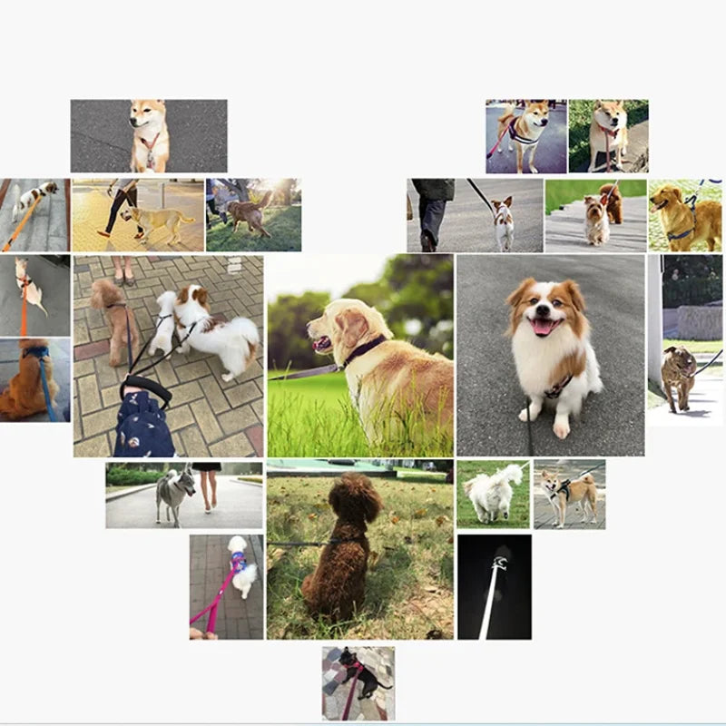 1.2M-30M Long Nylon Dog Training Leashes Walking Pet Leash Long Lanyard Traction Rope for Small Large Dogs Lead Item