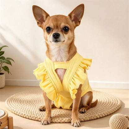 BXX Pet Apparel Happy Puppy Small Dog Outdoor Casual Breathable Soft Fabric Feife Physiological Pants
