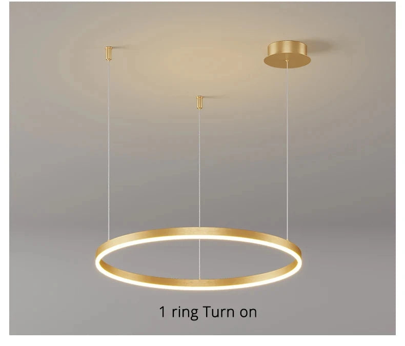 Modern Aluminum Rings Chandeliers Simple Acrylic LED Pendant Lights Living Dining Room Home Restaurant Decor Lighting Fixtures