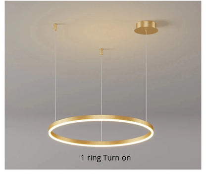Modern Aluminum Rings Chandeliers Simple Acrylic LED Pendant Lights Living Dining Room Home Restaurant Decor Lighting Fixtures