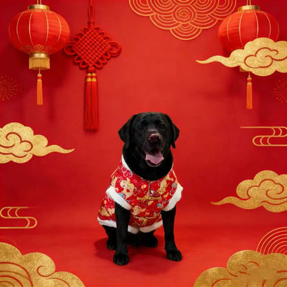 Chinese traditional pattern pet clothing, warm and comfortable dog clothes, suitable for medium to large dogs such as Golden Ret