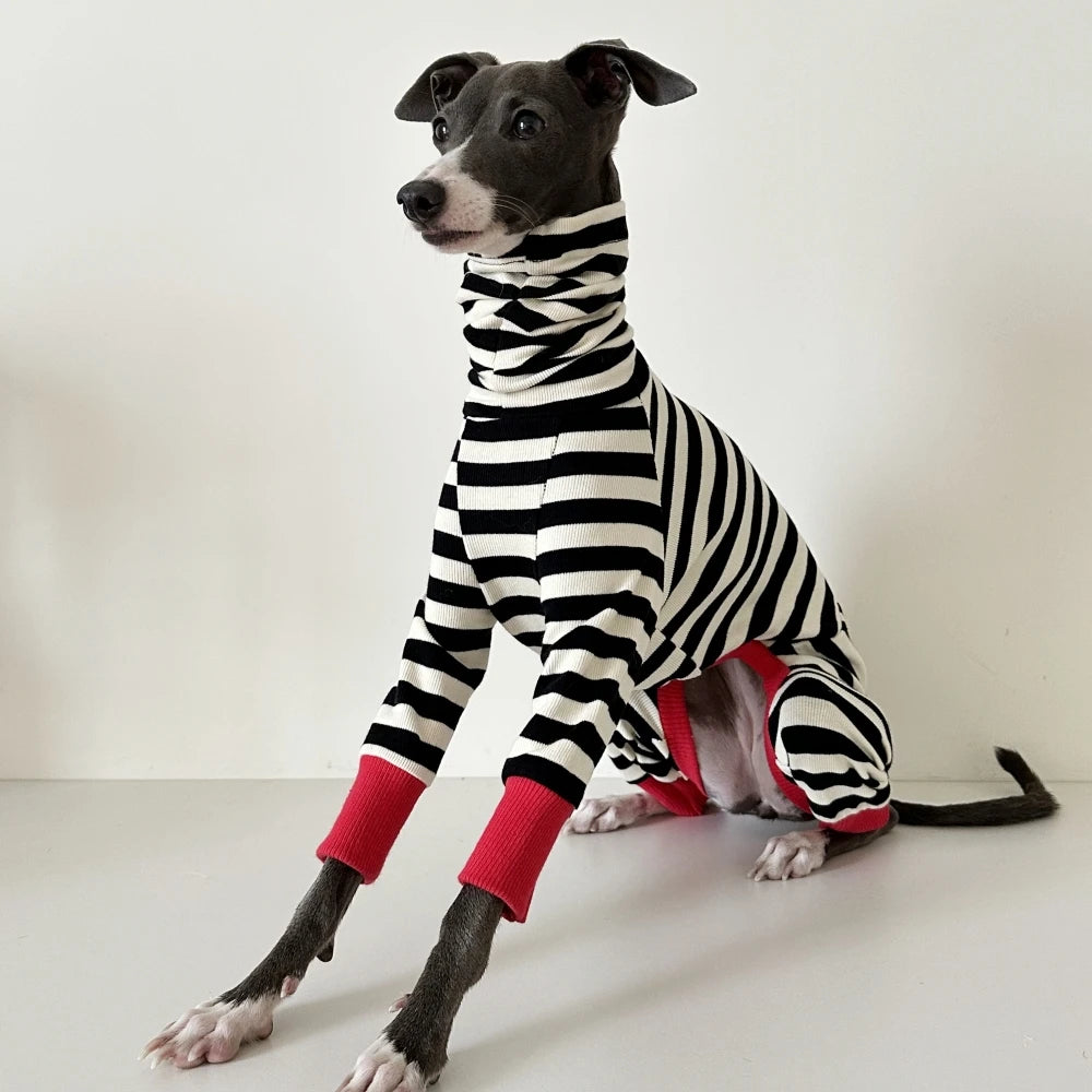 4-legged Cotton Coat for Dog Greyhounds Loungewear Spring Autumn Whippet Dog Black Striped Sweatshirt Bellington High-Neck Shirt