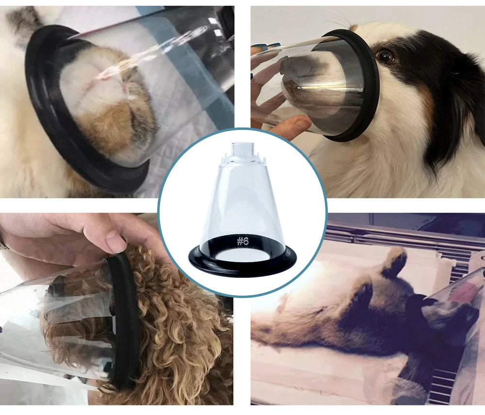 Animal Anesthesia Mask Medical Grade PVC Transparent Dome With Silicone Protective Film Fixing Ring For Pet Veterinary Equipment