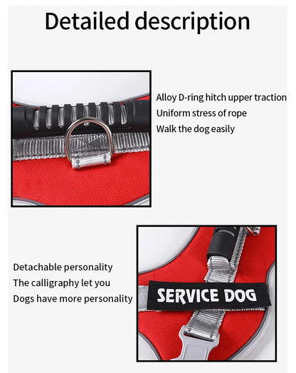 Adjustable Walking Dog Harness, Handle & Leash, No Pull Reflective Pet Vest, Soft Breathable Mesh, Suitable for Small & Big Dogs