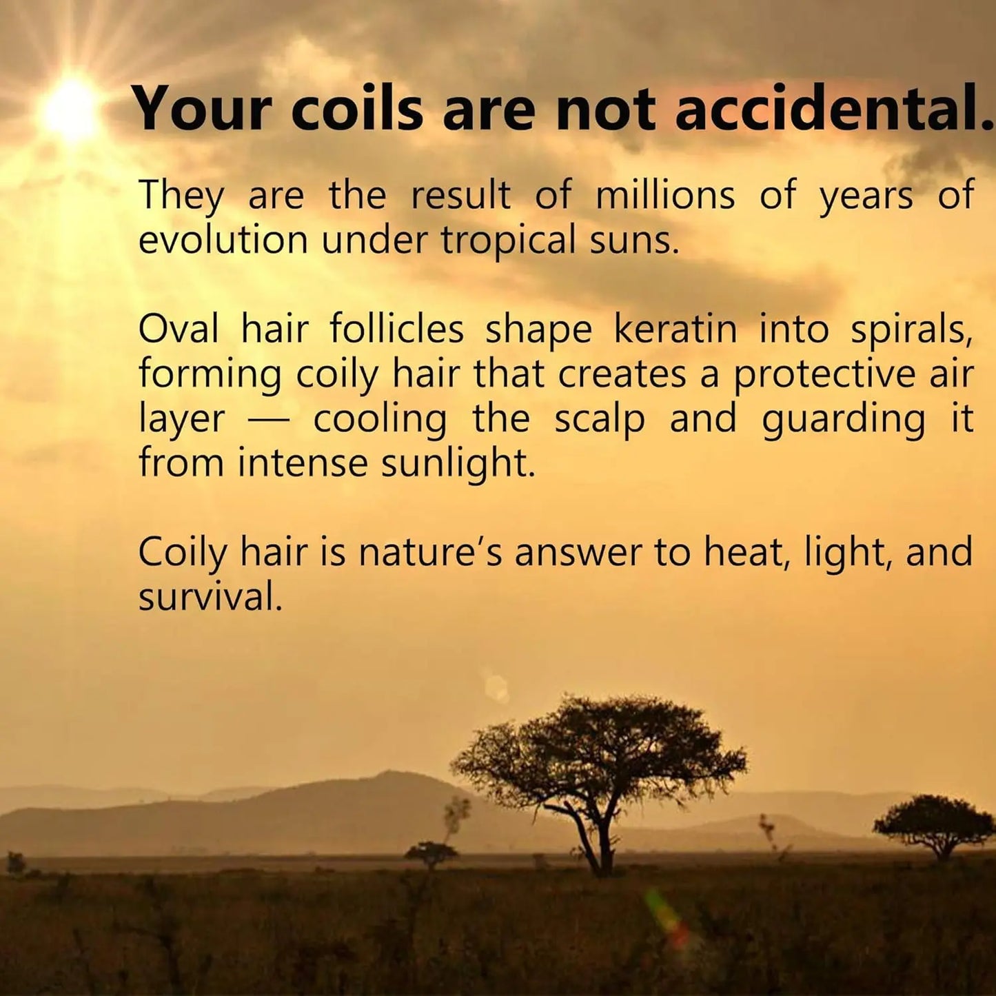 110ml West African-Inspired Coily Hair Oil with Rosemary & Castor, Lightweight & Silky, Soaks into Coils, Moisture That Lasts
