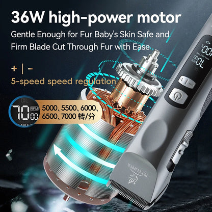Fenice Cordless Rechargeable Pet Clipper Low Noise Professional Pet Hair Cutting Machine Grooming Trimmer Shaver Kit for Animals