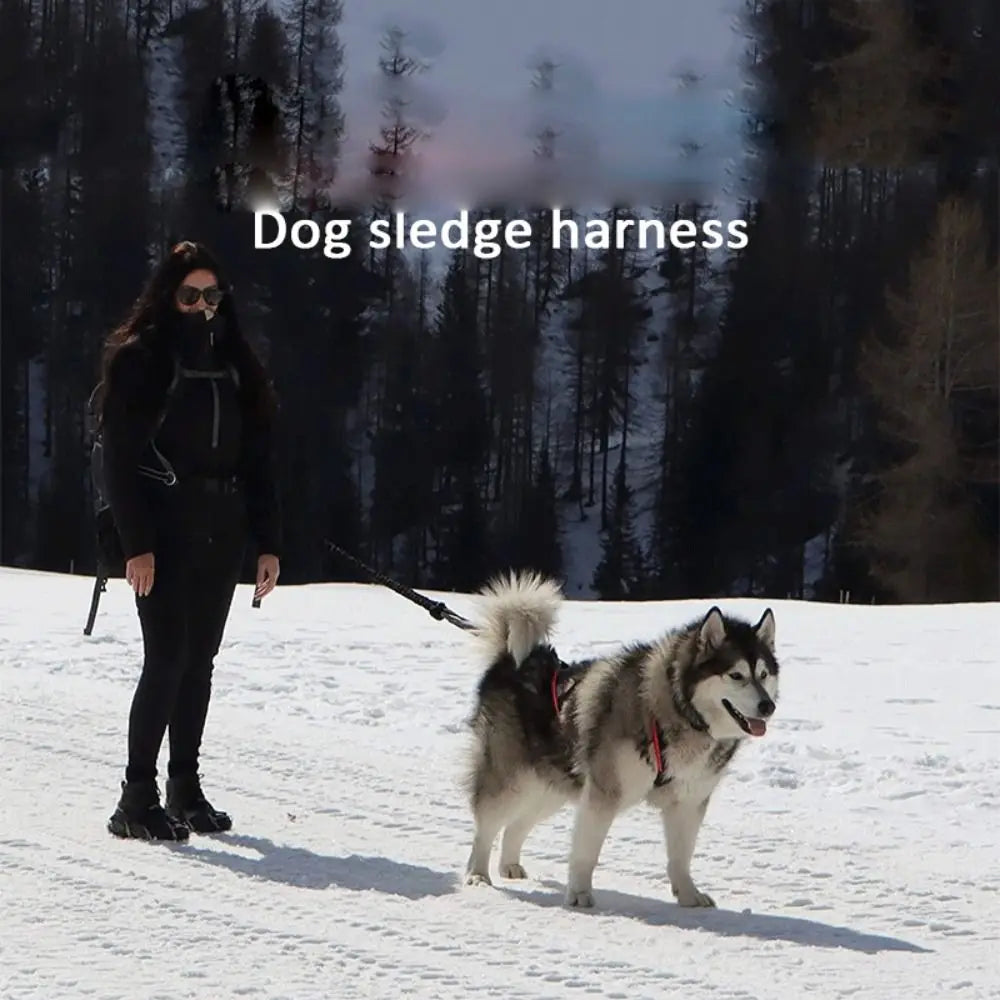 Reflective Dog Harness Adjustable Weight Mushing Dog Sled Harness Pulling Sledding Skijoring Pet Back Chest Strap Large Dogs