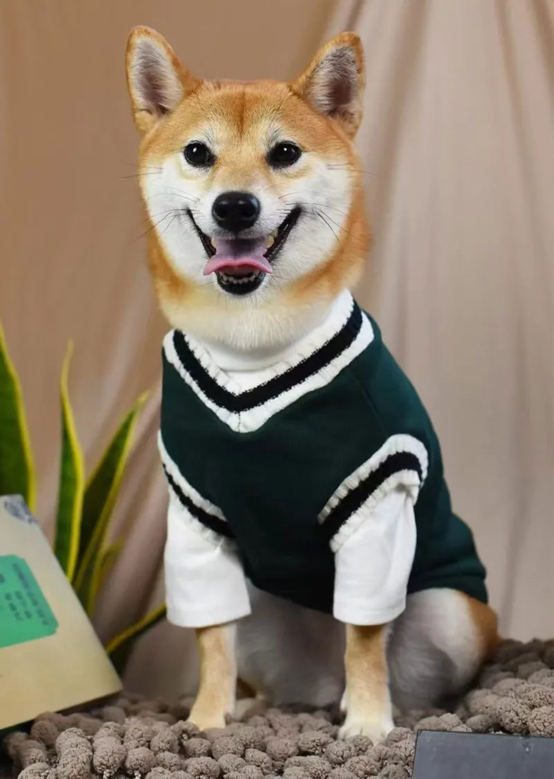 Winter Warm Pet Dog Sweater College Style V-neck Puppy Knitwear For Small Dogs Puppy Vest Clothes Kitty Jacket Outfits